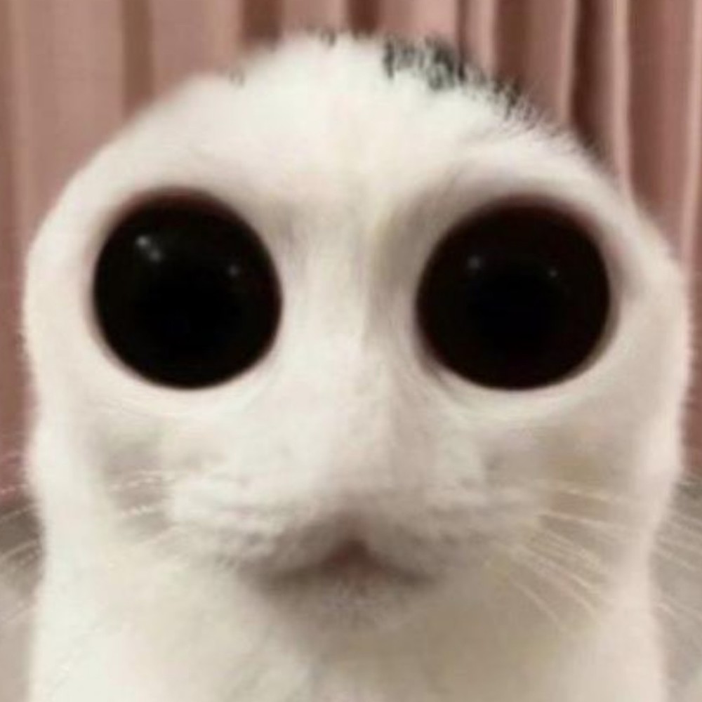 Meet your Posher, Aulora